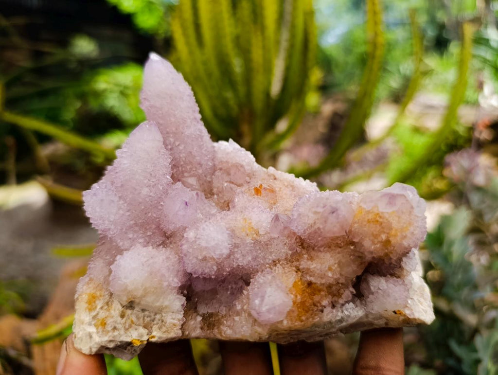 Natural Amethyst and Ametrine Spirit Quartz Clusters x 3 From Boekenhouthoek, South Africa