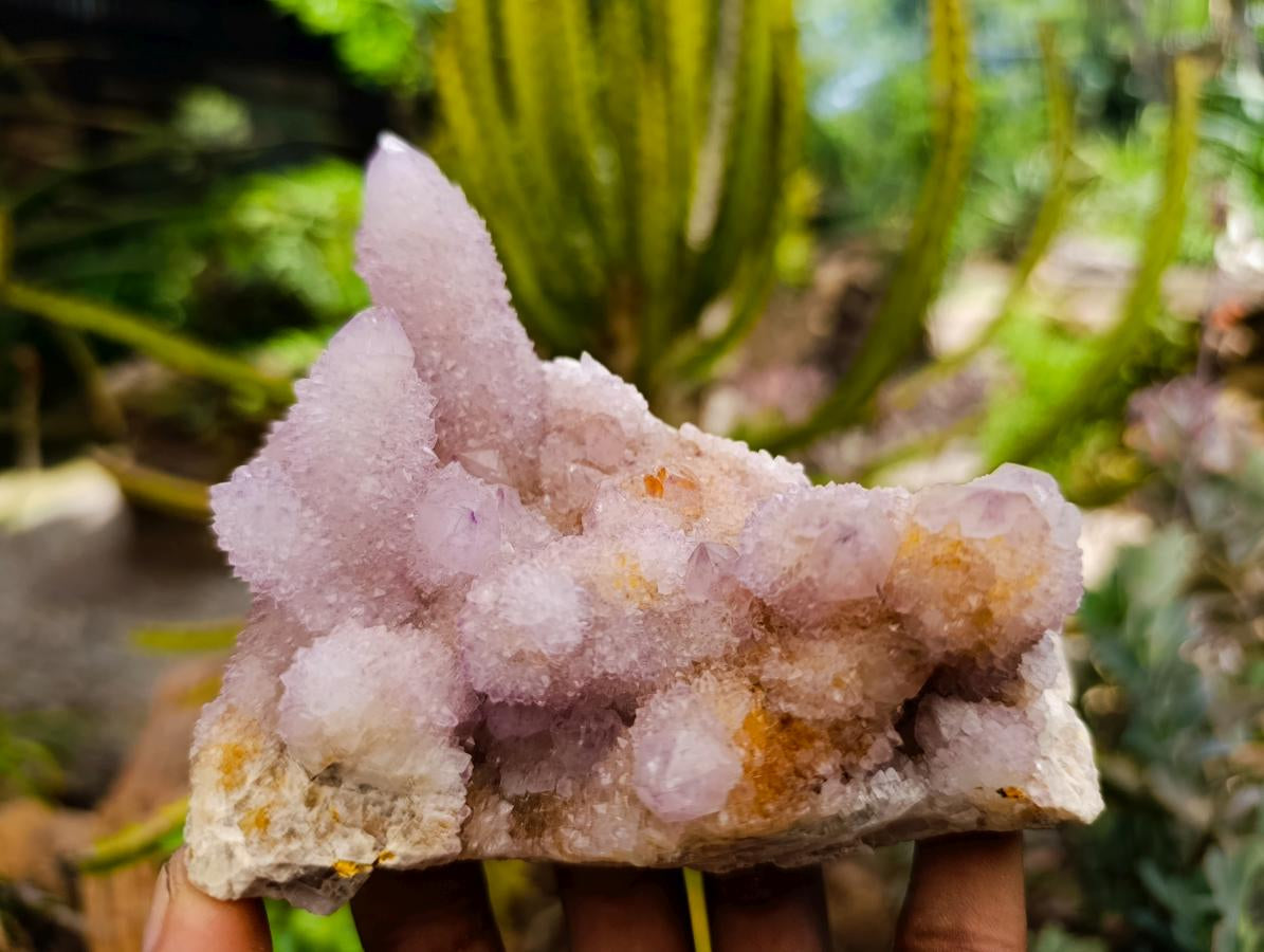 Natural Amethyst and Ametrine Spirit Quartz Clusters x 3 From Boekenhouthoek, South Africa