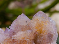 Natural Amethyst and Ametrine Spirit Quartz Clusters x 3 From Boekenhouthoek, South Africa