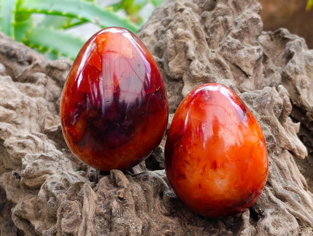 Polished Carnelian Agate Gemstone Eggs x 12 From Madagascar