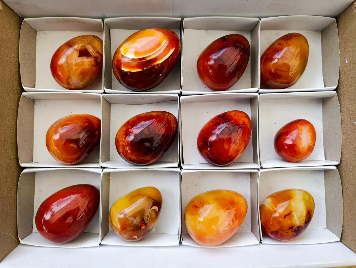 Polished Carnelian Agate Gemstone Eggs x 12 From Madagascar
