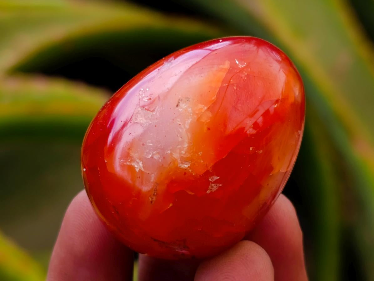Polished Carnelian Agate Gemstone Eggs x 12 From Madagascar