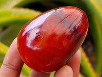 Polished Carnelian Agate Gemstone Eggs x 12 From Madagascar