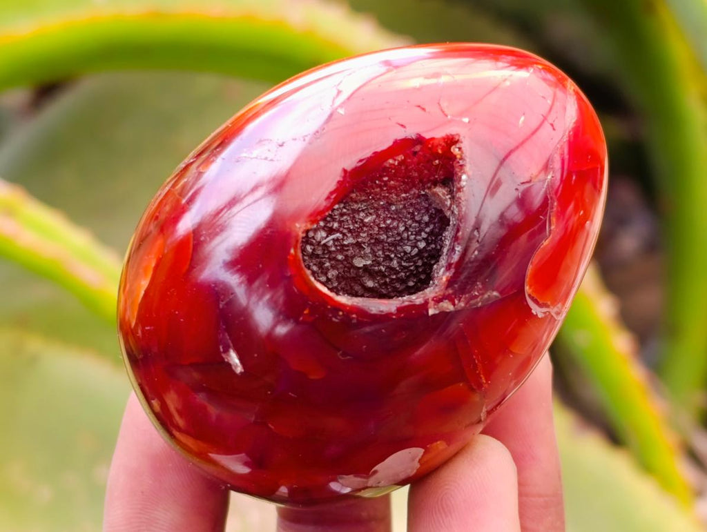 Polished Carnelian Agate Gemstone Eggs x 12 From Madagascar