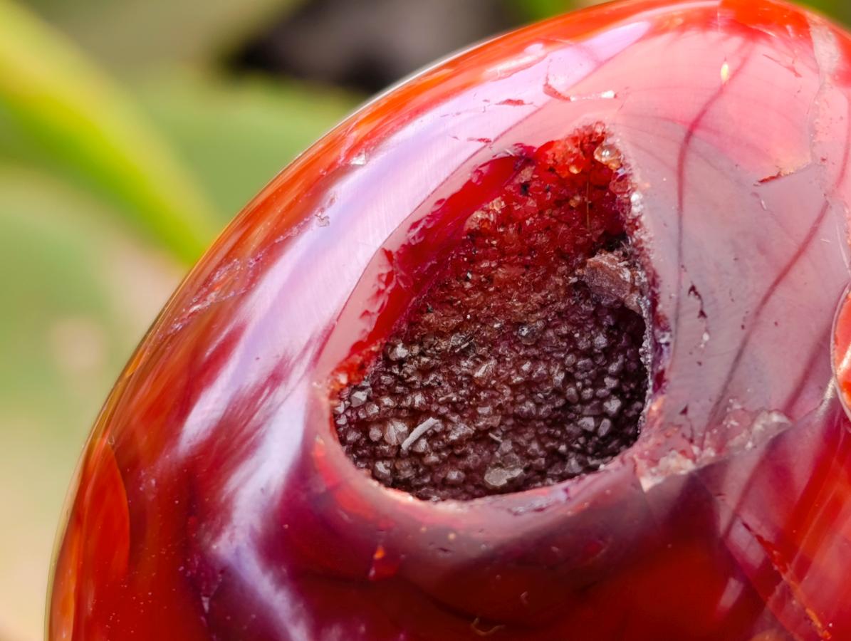 Polished Carnelian Agate Gemstone Eggs x 12 From Madagascar