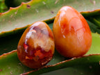 Polished Carnelian Agate Gemstone Eggs x 12 From Madagascar