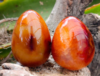 Polished Carnelian Agate Gemstone Eggs x 12 From Madagascar