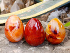 Polished Carnelian Agate Gemstone Eggs x 12 From Madagascar