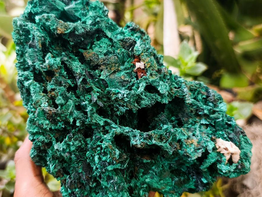 Natural Silky Malachite Specimen x 1 From Kasompe, Congo