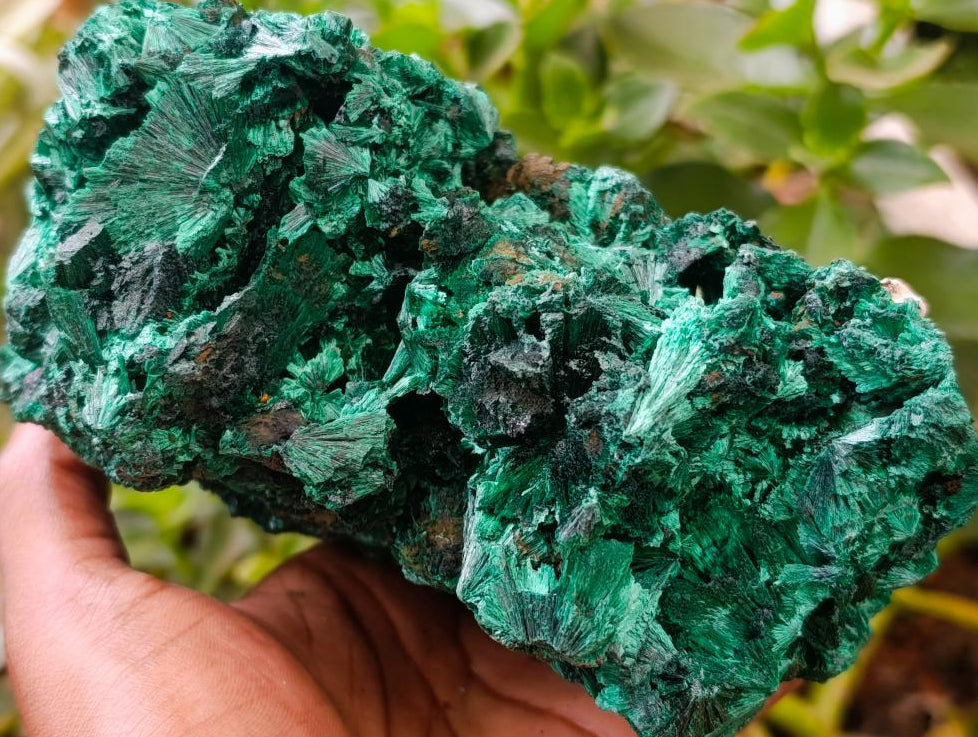 Natural Silky Malachite Specimen x 1 From Kasompe, Congo