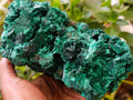 Natural Silky Malachite Specimen x 1 From Kasompe, Congo