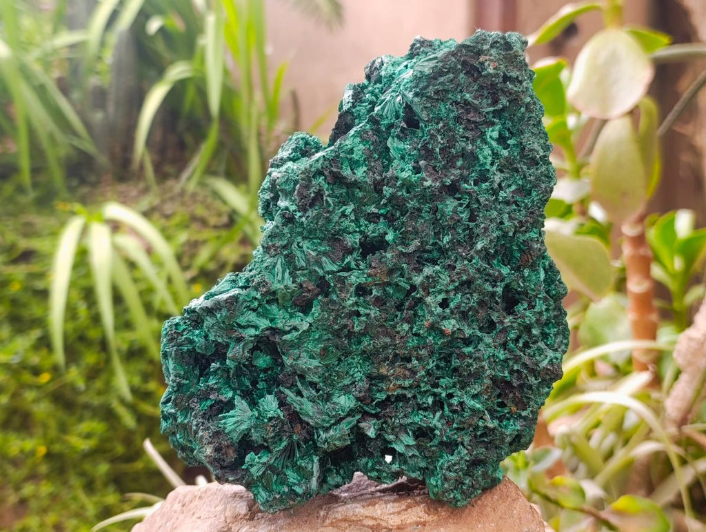 Natural Silky Malachite Specimen x 1 From Kasompe, Congo