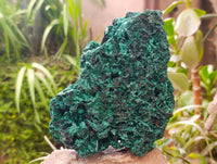 Natural Silky Malachite Specimen x 1 From Kasompe, Congo