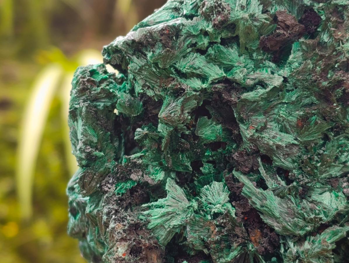 Natural Silky Malachite Specimen x 1 From Kasompe, Congo