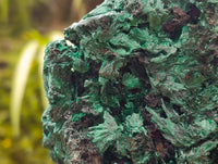 Natural Silky Malachite Specimen x 1 From Kasompe, Congo