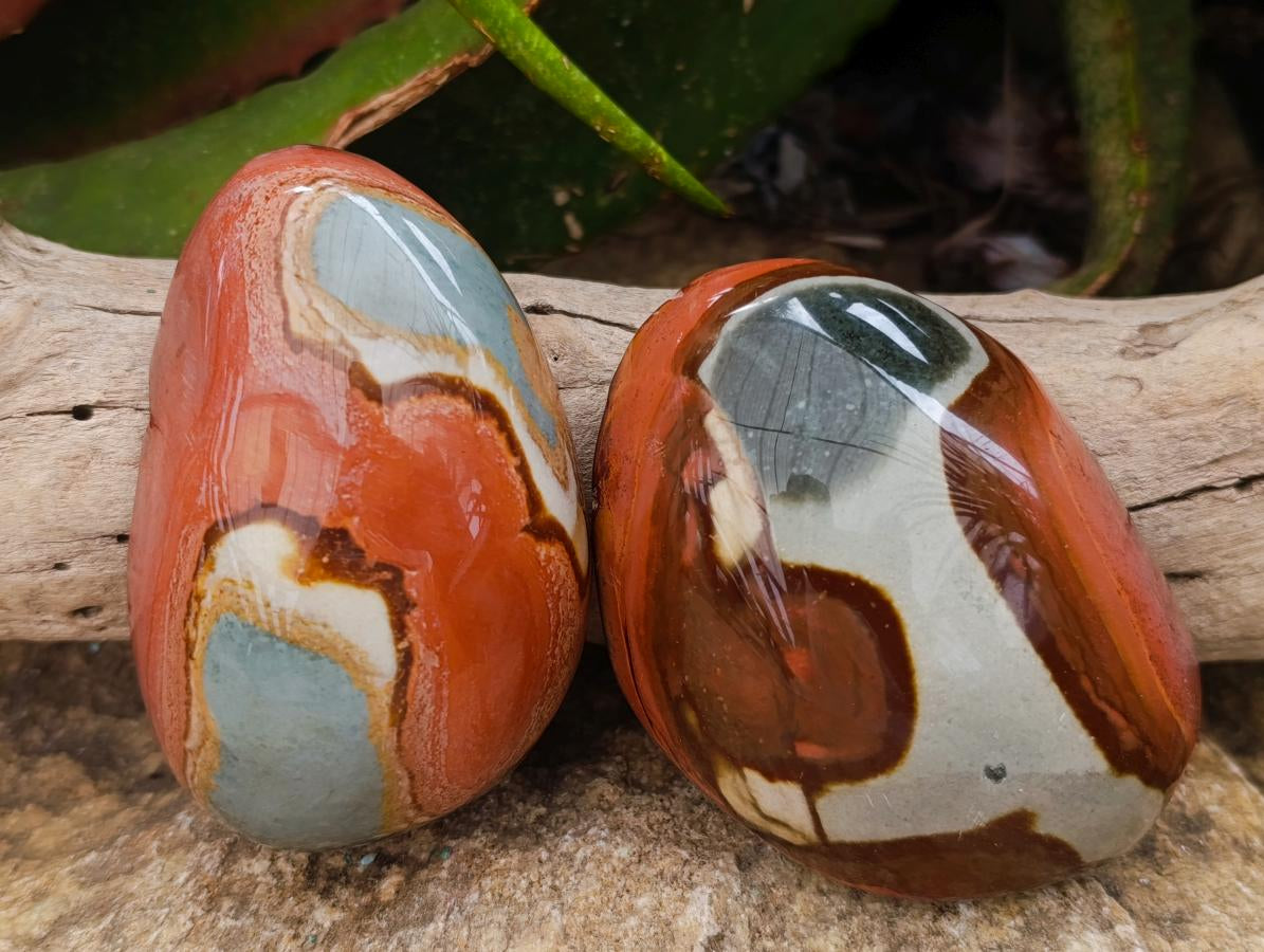 Polished On One Side Polychrome Jasper Nodules x 6 From NW Coast, Madagascar