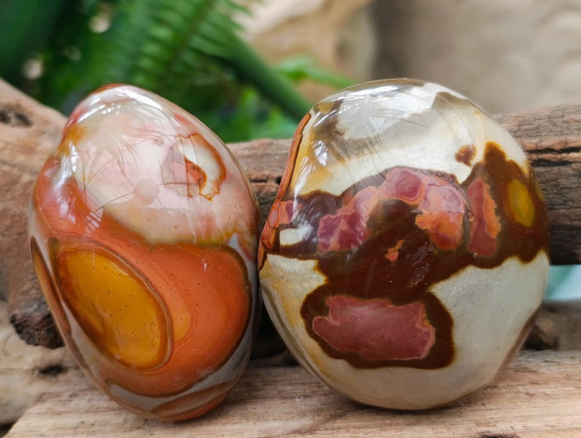 Polished On One Side Polychrome Jasper Nodules x 6 From NW Coast, Madagascar