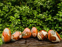 Polished On One Side Polychrome Jasper Nodules x 6 From NW Coast, Madagascar