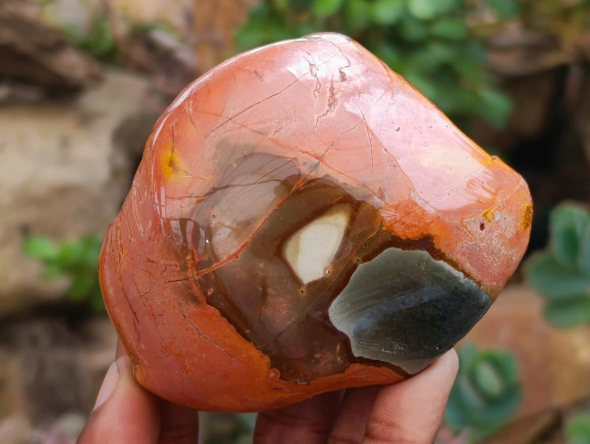Polished On One Side Polychrome Jasper Nodules x 6 From NW Coast, Madagascar