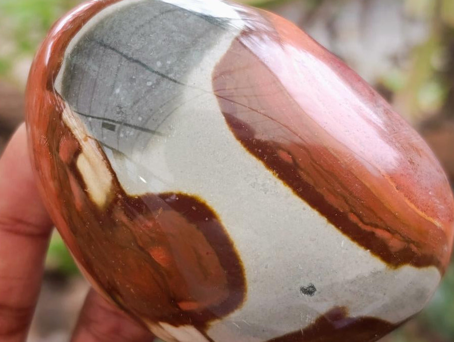 Polished On One Side Polychrome Jasper Nodules x 6 From NW Coast, Madagascar