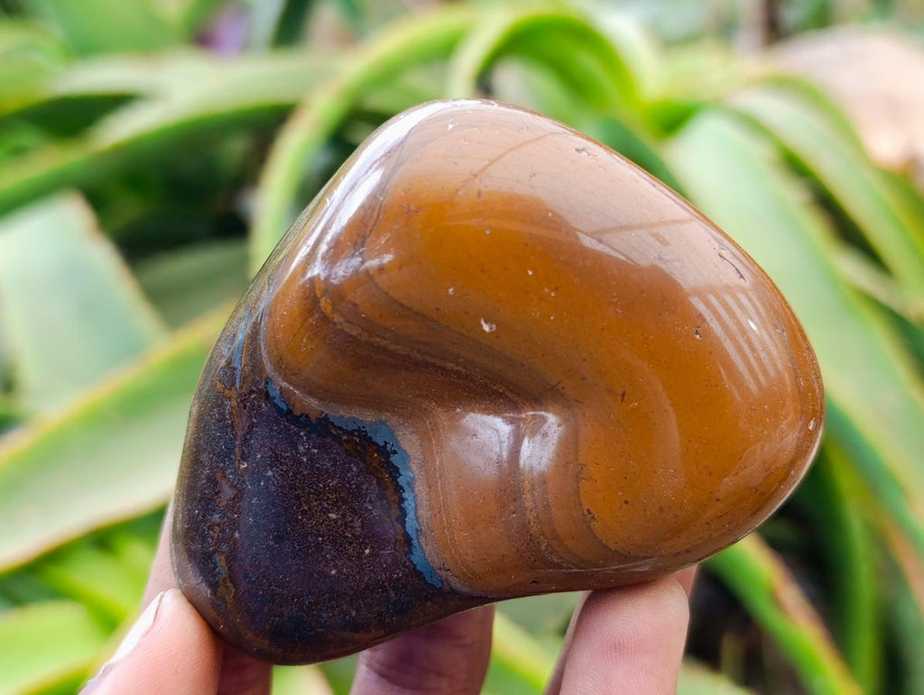 Polished Jumbo Golden Tigers Eye With Banded Iron Stone Free Forms x 6 From Prieska, South Africa - Toprock Gemstones and Minerals 