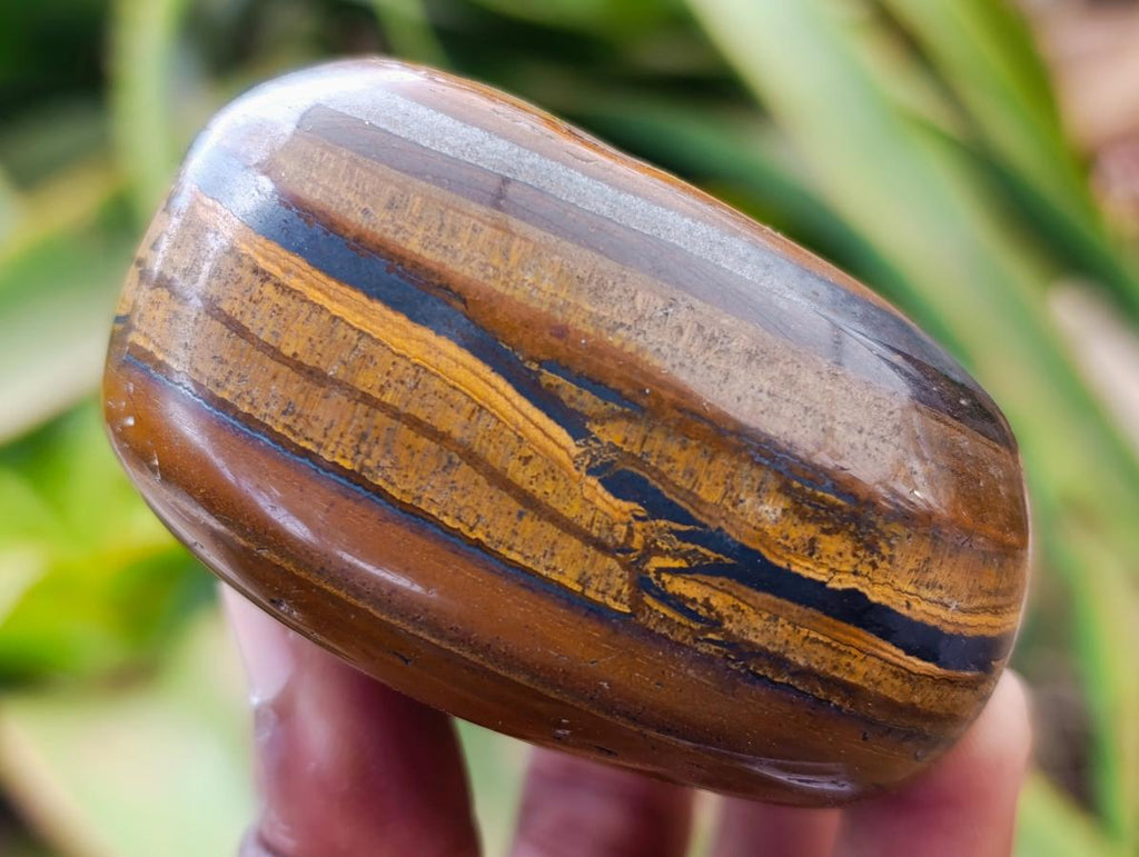 Polished Jumbo Golden Tigers Eye With Banded Iron Stone Free Forms x 6 From Prieska, South Africa - Toprock Gemstones and Minerals 