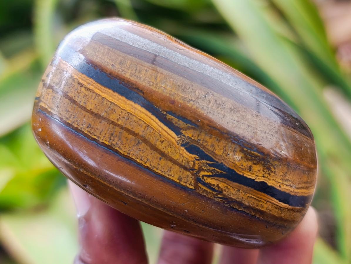 Polished Jumbo Golden Tigers Eye With Banded Iron Stone Free Forms x 6 From Prieska, South Africa - Toprock Gemstones and Minerals 