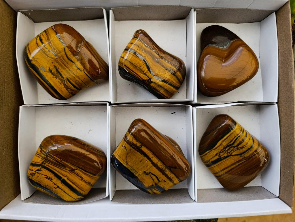 Polished Jumbo Golden Tigers Eye With Banded Iron Stone Free Forms x 6 From Prieska, South Africa - Toprock Gemstones and Minerals 