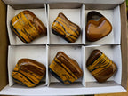 Polished Jumbo Golden Tigers Eye With Banded Iron Stone Free Forms x 6 From Prieska, South Africa - Toprock Gemstones and Minerals 