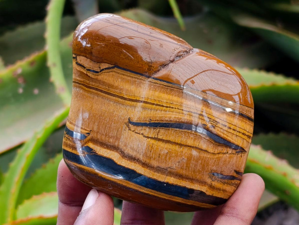 Polished Jumbo Golden Tigers Eye With Banded Iron Stone Free Forms x 6 From Prieska, South Africa - Toprock Gemstones and Minerals 