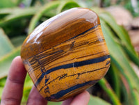 Polished Jumbo Golden Tigers Eye With Banded Iron Stone Free Forms x 6 From Prieska, South Africa