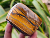 Polished Jumbo Golden Tigers Eye With Banded Iron Stone Free Forms x 6 From Prieska, South Africa