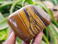 Polished Jumbo Golden Tigers Eye With Banded Iron Stone Free Forms x 6 From Prieska, South Africa