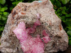 Natural XXL Rare Rhodocalcite Specimen x 1 From Congo