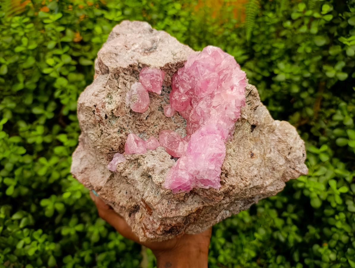 Natural XXL Rare Rhodocalcite Specimen x 1 From Congo