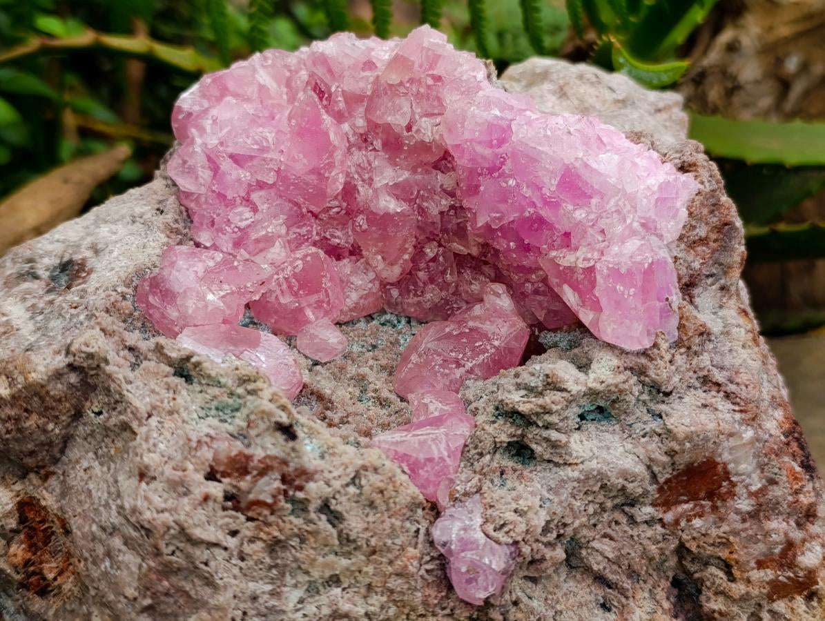 Natural XXL Rare Rhodocalcite Specimen x 1 From Congo