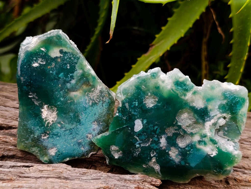 Polished On One Side Mtorolite Plates x 12 From Mutorashanga, Zimbabwe