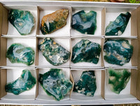 Polished On One Side Mtorolite Plates x 12 From Mutorashanga, Zimbabwe