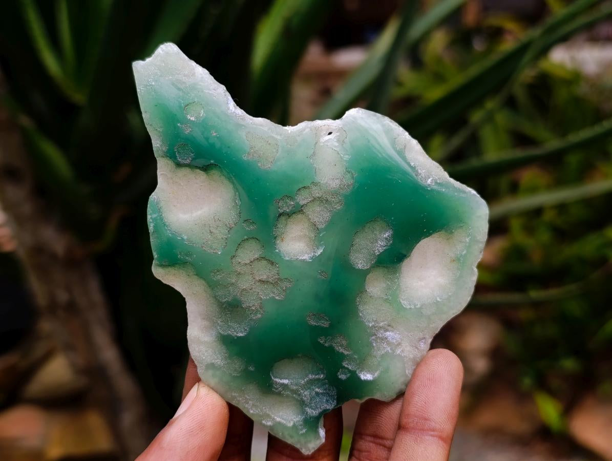 Polished On One Side Mtorolite Plates x 12 From Mutorashanga, Zimbabwe