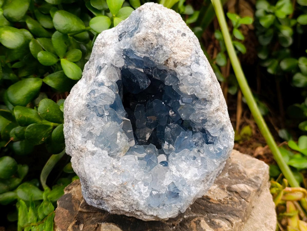 Natural Large Blue Celestite Geode Specimen x 1 From Sakoany, Madagascar - Toprock Gemstones and Minerals 