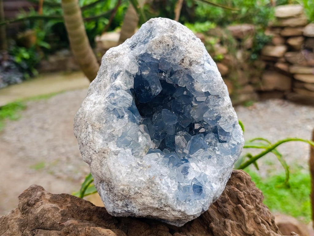 Natural Large Blue Celestite Geode Specimen x 1 From Sakoany, Madagascar - Toprock Gemstones and Minerals 