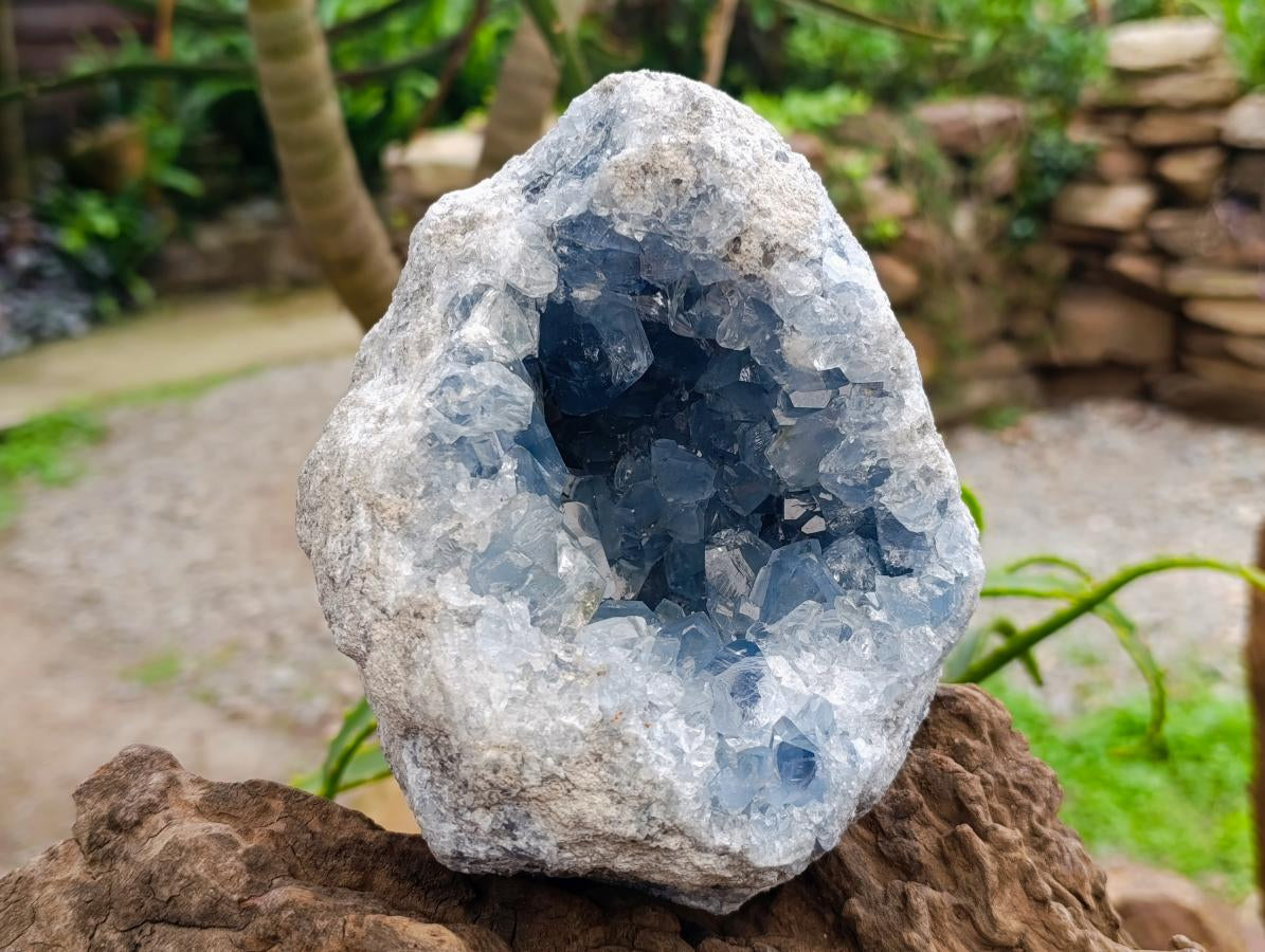 Natural Large Blue Celestite Geode Specimen x 1 From Sakoany, Madagascar - Toprock Gemstones and Minerals 