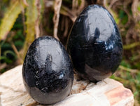 Polished Black Tourmaline Gemstone Eggs x 12 From Madagascar