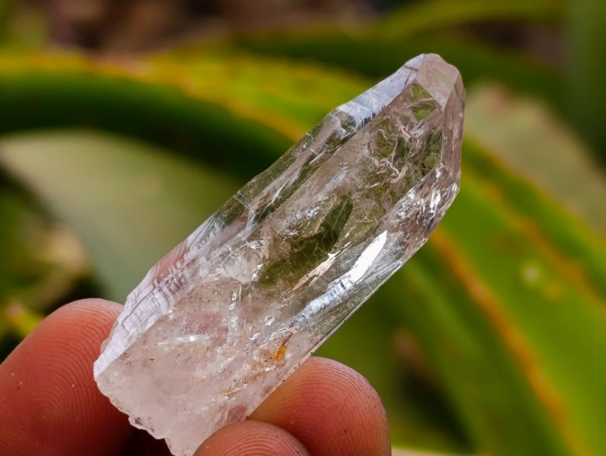Natural Clear And Smokey Window Quartz Crystals x 63 From Brandberg, Namibia - Toprock Gemstones and Minerals 