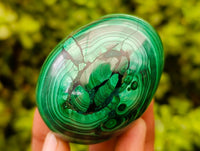 Polished Flower Banded Malachite Gemstone Eggs x 3 From Congo