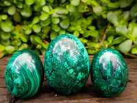 Polished Flower Banded Malachite Gemstone Eggs x 3 From Congo