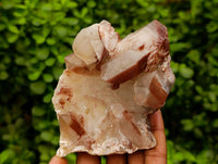 Natural Red Hematoid Quartz Crystals And Clusters x 12 From Karoi, Zimbabwe
