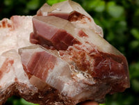 Natural Red Hematoid Quartz Crystals And Clusters x 12 From Karoi, Zimbabwe