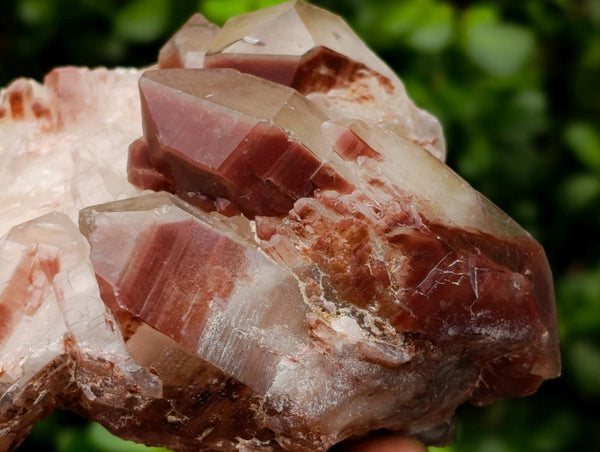 Natural Red Hematoid Quartz Crystals And Clusters x 12 From Karoi, Zimbabwe