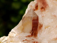 Natural Red Hematoid Quartz Crystals And Clusters x 12 From Karoi, Zimbabwe